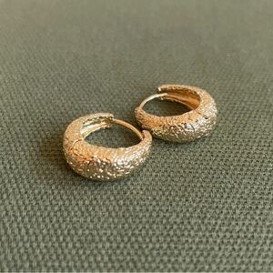 Golden Hoop Earrings